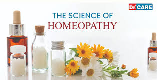 Course - Diploma in Computer Application - 6 Month